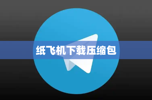 纸飞机下载压缩包