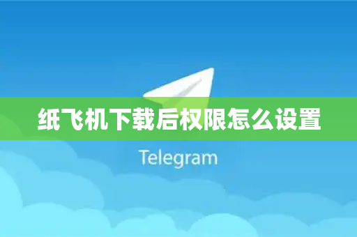 纸飞机下载后权限怎么设置