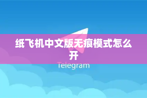 纸飞机中文版无痕模式怎么开