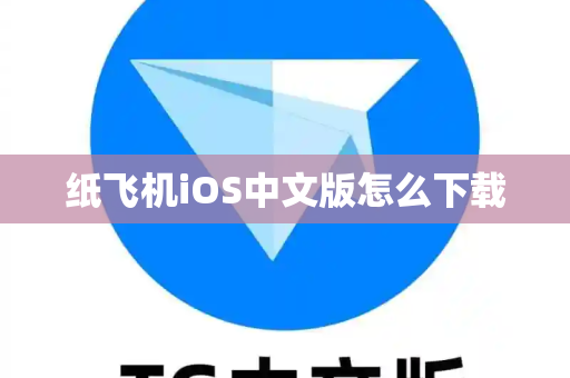 纸飞机iOS中文版怎么下载