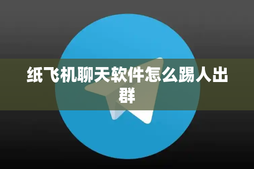 纸飞机聊天软件怎么踢人出群