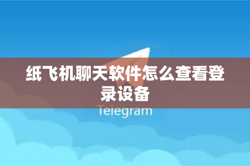 纸飞机聊天软件怎么查看登录设备
