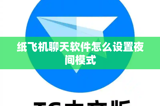 纸飞机聊天软件怎么设置夜间模式