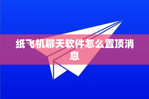 纸飞机聊天软件怎么置顶消息