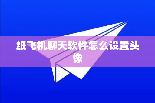 纸飞机聊天软件怎么设置头像