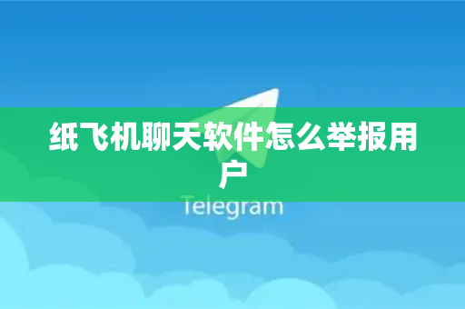 纸飞机聊天软件怎么举报用户