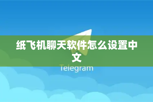 纸飞机聊天软件怎么设置中文