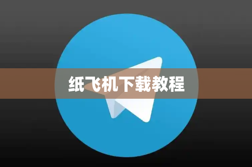 纸飞机下载教程