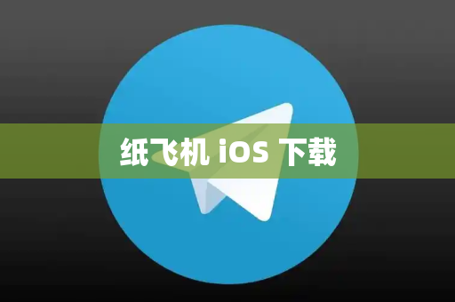 纸飞机 iOS 下载